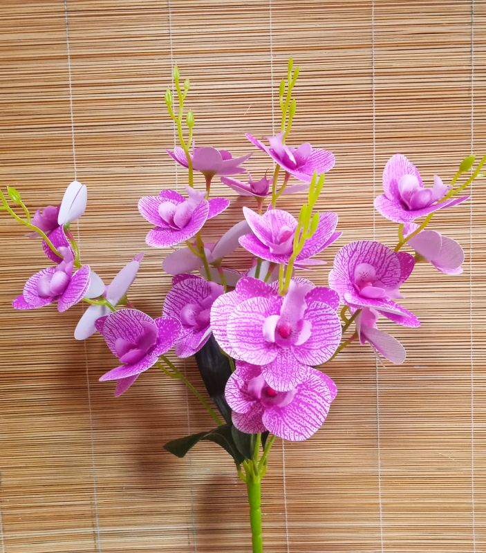 Б.орхидеи 5 веток