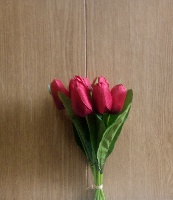 Тюльпан в связке малый 7 шт