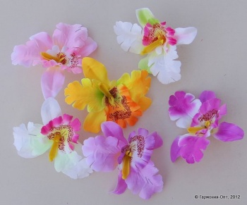 Г.орхидеи d 10,5 cm